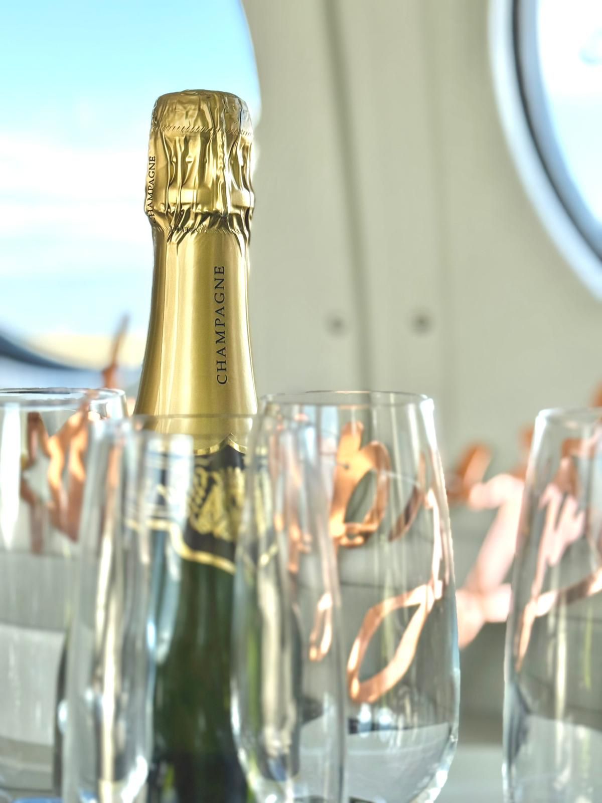 birthday in the sky on a private jet